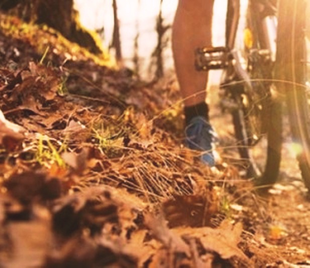 Zeljava Air Base Hike&Bike